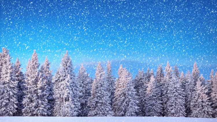 С Крещением Господним. Фото: GoodFon