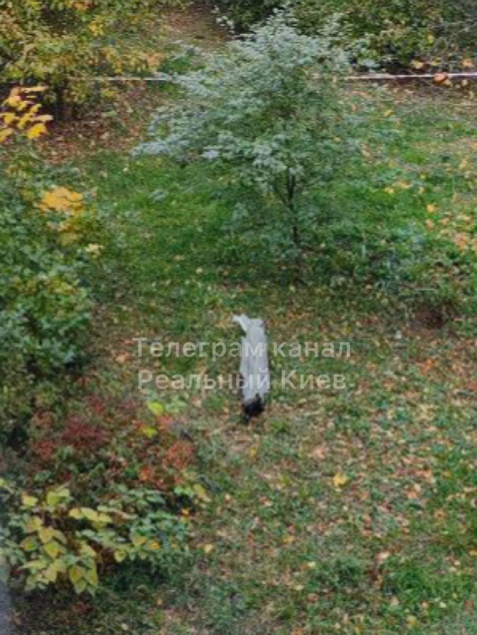 Обломки сбитой ракеты в одном из дворов Киева