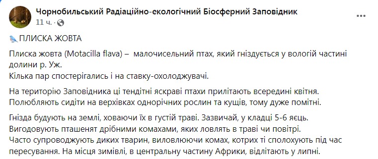 Скриншот из Фейсбука Чернобыльского заповедника 