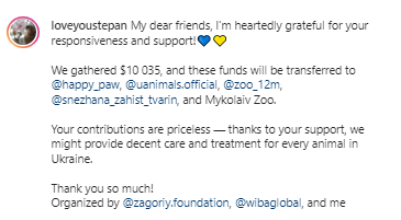 Кот Степан из Харькова собрал 10 000 долларов на помощь животным из Украины
