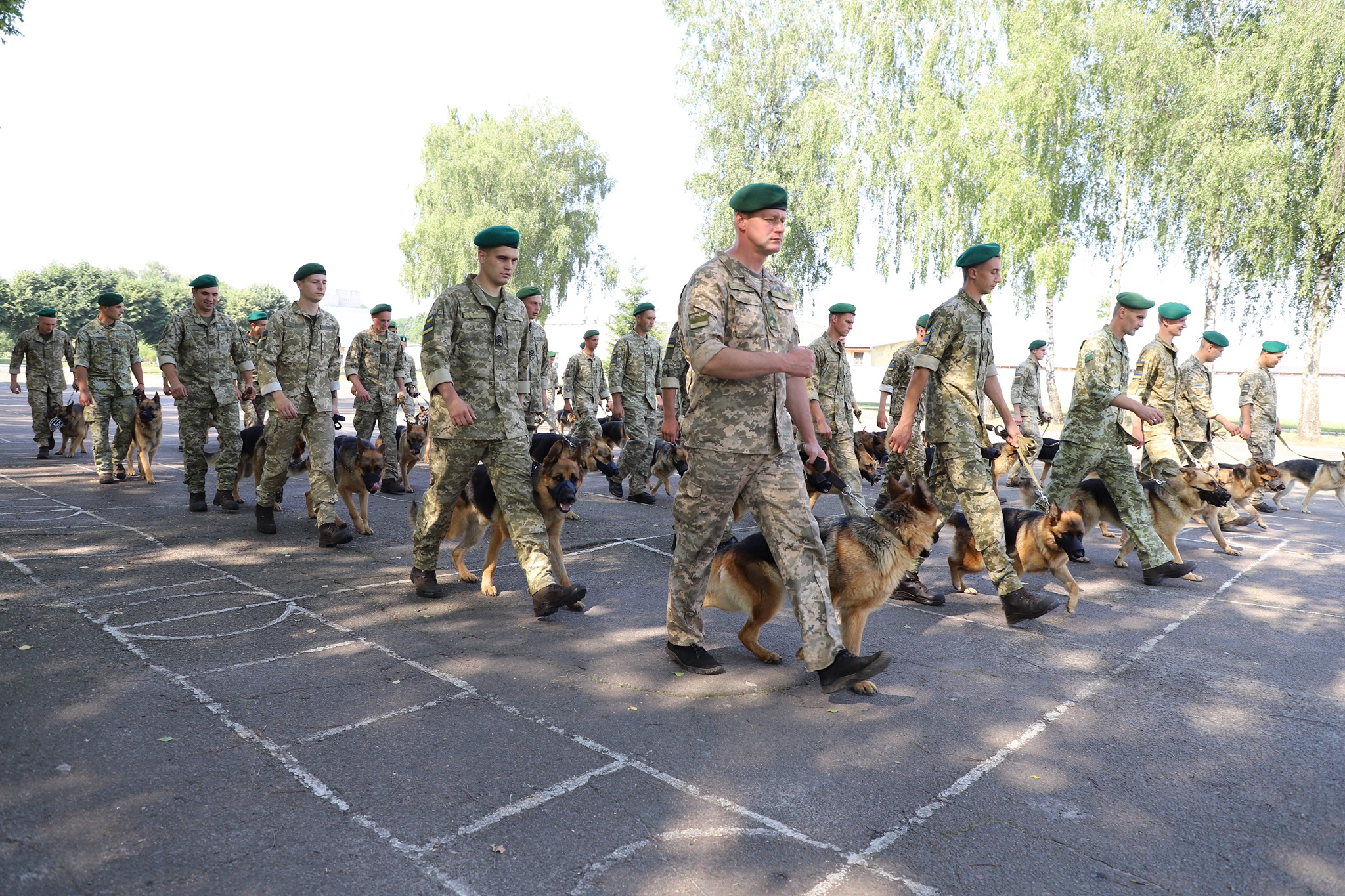 Кинологи с собаками уже тренируются для участия в параде к 30-летию Независимости Украины