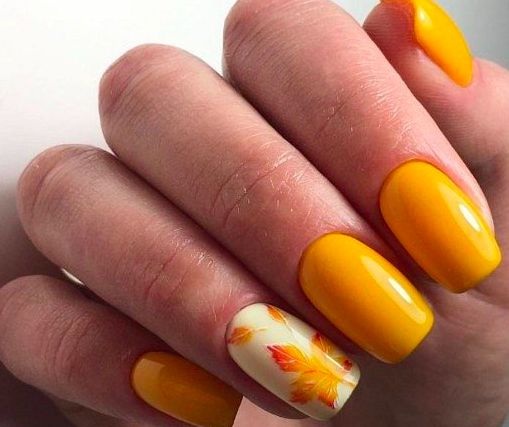 маникбр с осенними листьями