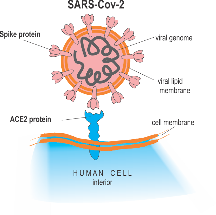 Фото: medium.com