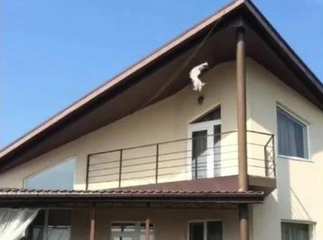 Олександр Шекерлі